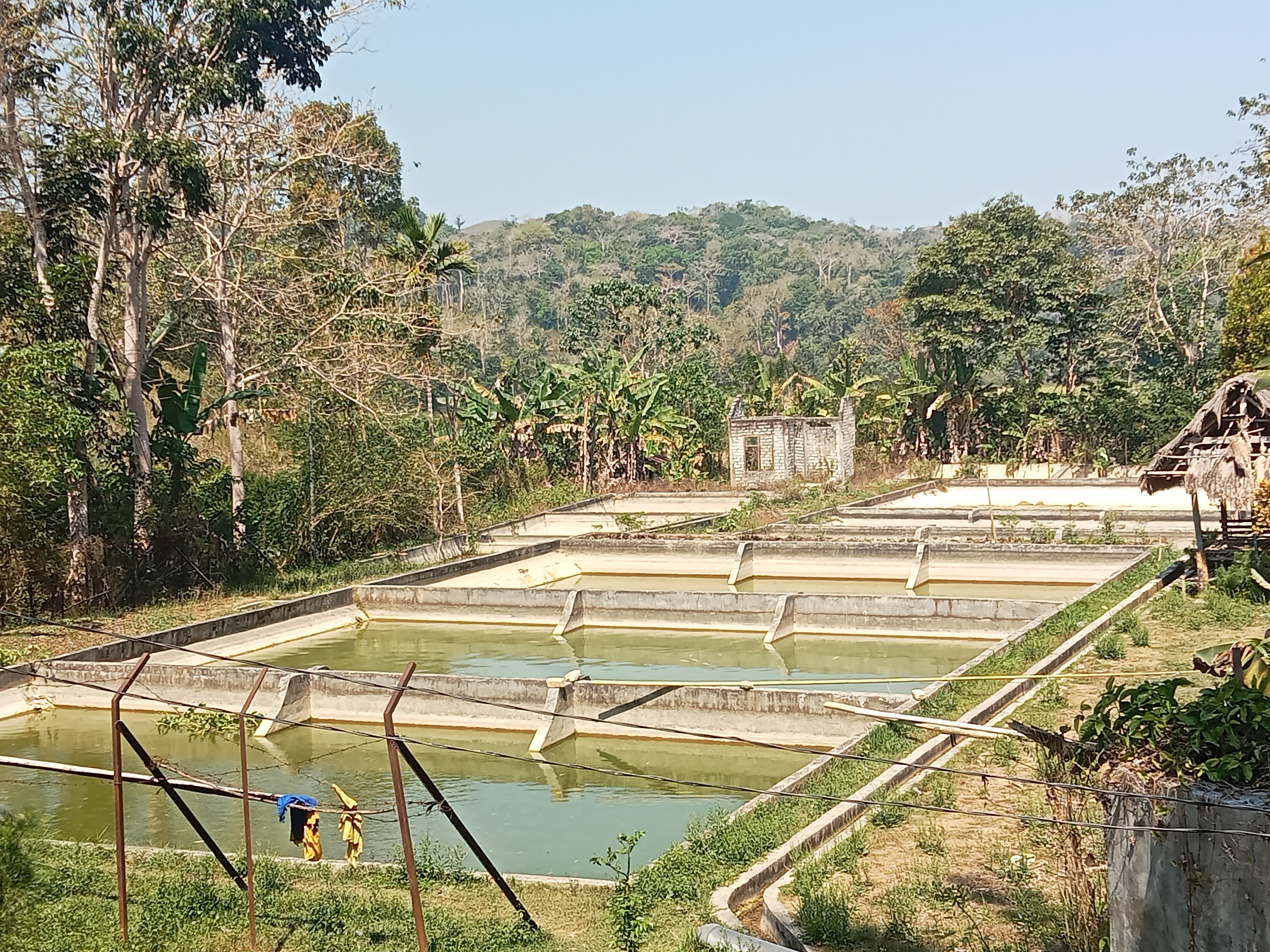 Sumber Daya Alam (Perikanan)